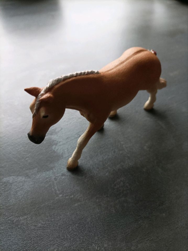 Schleich Pferd Neu in Niestetal