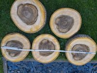 Baumscheibe, Nussbaum, Durchmesser ca.40cm, Holz, Beistelltisch Bayern - Pressig Vorschau