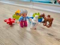 ❤️ Lego Duplo 10521 Baby-Kalb Fütterung Kälbchen komplett Rheinland-Pfalz - Gundersheim Vorschau