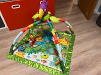 Spielbogen Fisher Price Niedersachsen - Apen Vorschau