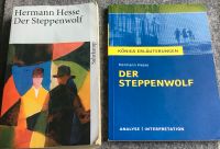 Abi Vorbereitung: Hermann Hesse "der Steppenwolf" Bayern - Pfaffenhofen a. d. Roth Vorschau