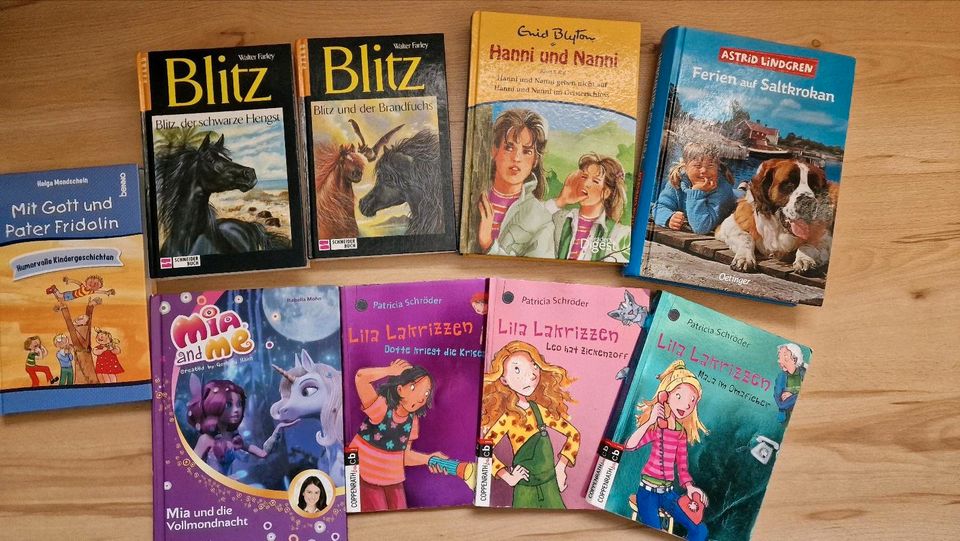 Verschiedene Kinderbücher/ Jugendbücher in Meißen