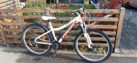 Mountainbike Focus Donna HT XS Feldmoching-Hasenbergl - Feldmoching Vorschau