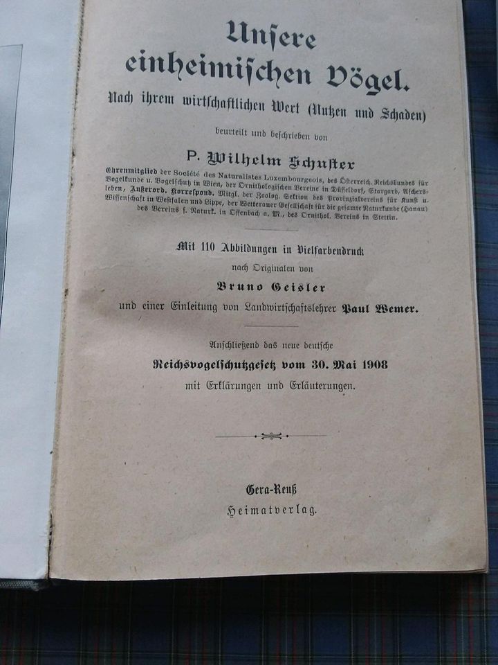 P. Wilhelm Schuster Unsere einheimischen Vögel in Hahnheim