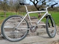 Custom MTB Astro Compagnolo Bayern - Kirchehrenbach Vorschau