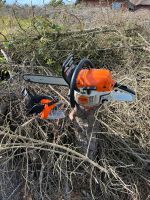 STIHL Kettensäge MS 241C (Bj.: 2013) zu verkaufen Niedersachsen - Braunschweig Vorschau