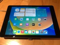 Apple iPad 6 Generation 128 GB grau Sachsen - Hartmannsdorf Vorschau