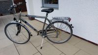 Herren Fahrrad 28“ Hercules Trek Bayern - Schwandorf Vorschau