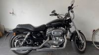 Harley Sportster 883 TOP Garagen Fahrzeug Frankfurt am Main - Bockenheim Vorschau