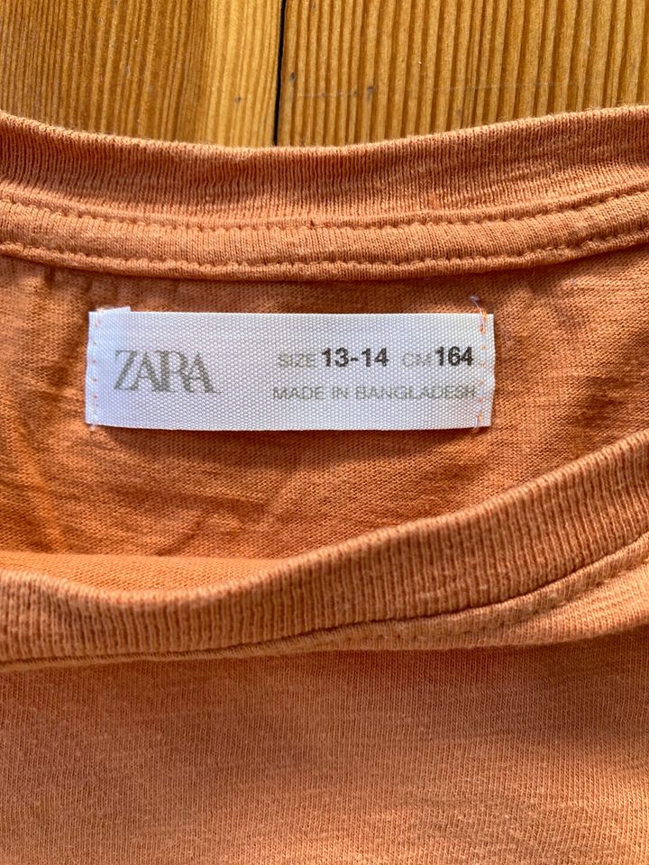 3 T-Shirt/Polo Jungen Gr. 158/164 Adidas, H&M, Zara in Reutlingen