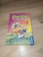 Sheltie buch Bayern - Neukirchen b Hl Blut Vorschau