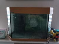 Aquarium 120l mit Bio-Innenfilter und Eheim Professional 3 e Auße Nordrhein-Westfalen - Waldbröl Vorschau