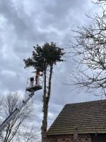 Baumfällung Problembaumfällung Brandenburg - Werben (Spreewald) Vorschau