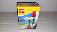 Lego Blumenpracht 40187 neu 9€* Nordrhein-Westfalen - Verl Vorschau