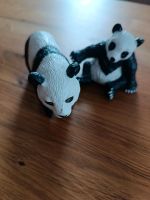 Panda Bären Simba und Schleich Nordrhein-Westfalen - Büren Vorschau