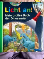 Licht an! Mein großes Buch der Dinosaurier Hessen - Offenbach Vorschau