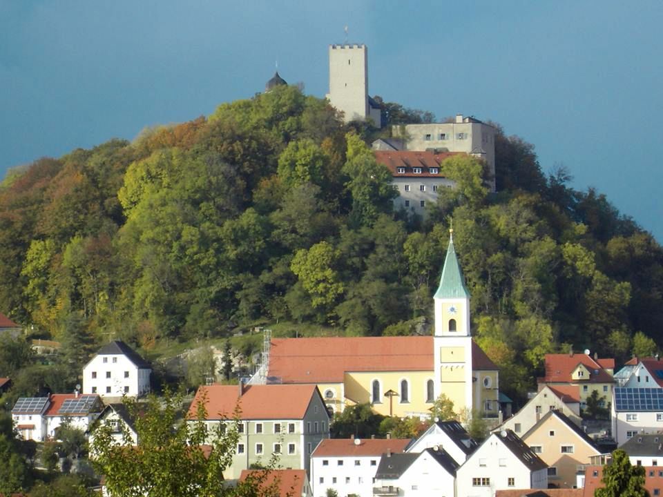 Bayerischer Wald 2024 - FeWo Mau & Wau - Haustiere willkommen ! in Falkenstein