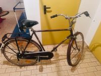 Holländische Fahrrad Bayern - Bad Birnbach Vorschau