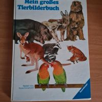 Mein großes Tierbilderbuch  Verlag: Otto Maier Verlag, Ravensburg Thüringen - Zella-Mehlis Vorschau