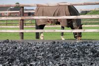 Teppichschnipsel für Allwetter Reitplatz, auch Roundpen, Zirkel. Niedersachsen - Schwanewede Vorschau