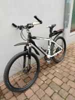 Mountainbike Univega HT Disc Hessen - Griesheim Vorschau
