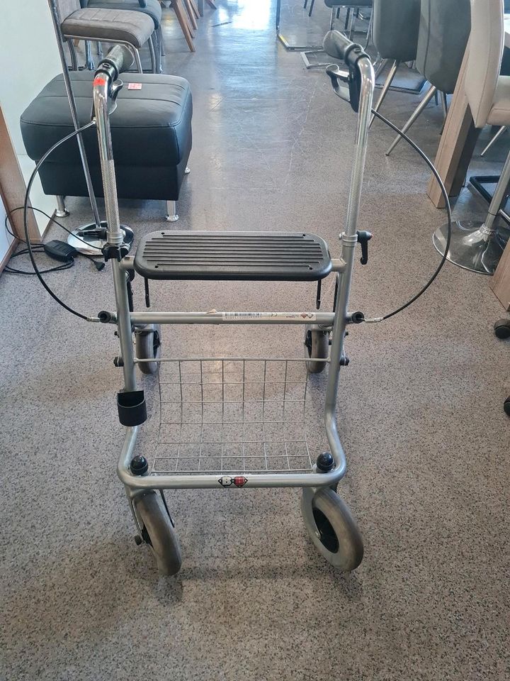 Gehhilfe Rollator in Saarbrücken