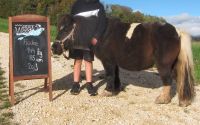 Pflegebeteiligung Reitbeteiligung Baden-Württemberg - Stockach Vorschau