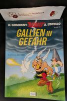 Asterix Gallien in Gefahr 2005 Epha Köln - Porz Vorschau