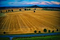 Grünland Ackerland Flurstück Weidefläche Thüringen - Streufdorf Gem Straufhain Vorschau