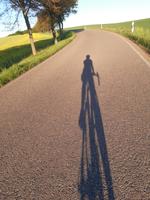 Freizeitpartner/-in Trainingspartner/-in Rennrad Freundschaft Leipzig - Marienbrunn Vorschau
