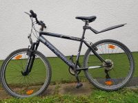 Herren Fahrrad 26 Zoll Frankfurt am Main - Hausen i. Frankfurt a. Main Vorschau