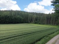 Ackerfläche mit Waldstück Bayern - Horgau Vorschau