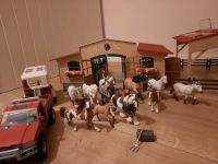 Reiterhof und Zubehör Schleich Schleswig-Holstein - Groß Sarau Vorschau