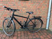 Stevens ATB Herren Touren Rad RANDONNEUR DISC 52cm Fahrrad grün Schleswig-Holstein - Neumünster Vorschau