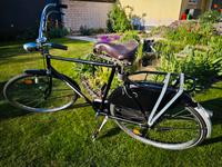 Herren Holland Fahrrad Union 60cm ist Gazelle Populair Tour 28er Rheinland-Pfalz - Mutterstadt Vorschau