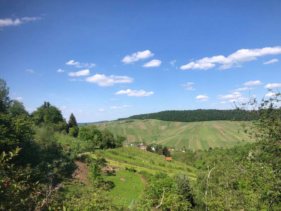 Garten mit Südseite in Esslingen