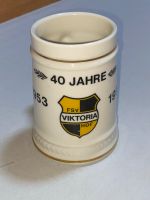 Alter Bierkrug 0,5 Liter FSV Viktoria Hof 1993 Bayern - Rehau Vorschau
