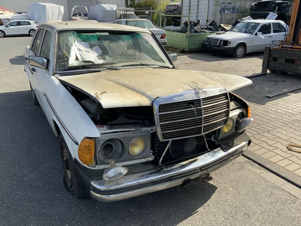 Mercedes Benz W123 300TD,Alle Ersatzteile ab 1€ Farbe:weiß in Havixbeck