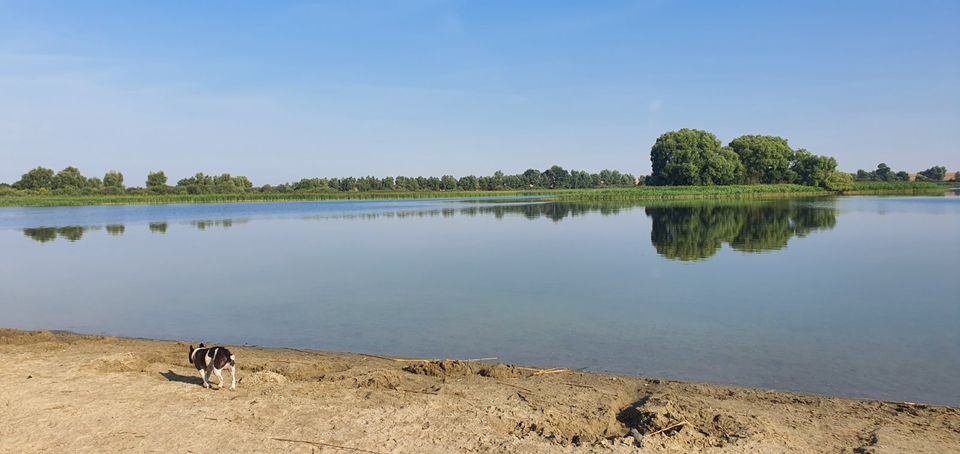 Ferienhaus/ Ferienwohnung in der Uckermark in Oberuckersee