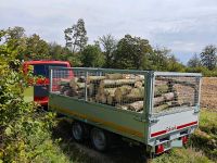 Transport von Schüttgut Thüringen - Gerstungen Vorschau