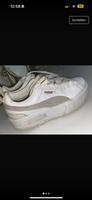 Puma Schuhe Rheinland-Pfalz - Trier Vorschau