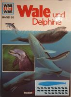 "Was ist Was" Buch Wale und Delphine (Band 85) von 1989 Nordrhein-Westfalen - Moers Vorschau