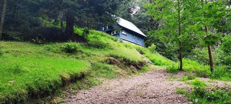 FERiENDOMiZiL -VERMiETBAR zu HOHEN RENDiTEN in Lauterbach (Schwarzwald)