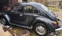 VW Käfer Typ 1300 Sachsen - Auerbach (Vogtland) Vorschau