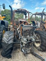 Schlachte New Holland T6.175 Nordrhein-Westfalen - Ahaus Vorschau