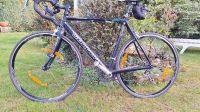 Canyon Rennrad Road Lite Pro Triple 2005 G Baden-Württemberg - Herrenberg Vorschau