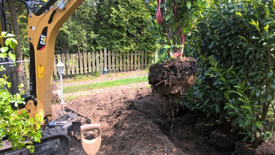 Gartenarbeiten, Gartenpflege, Gartengestaltung in Hamburg