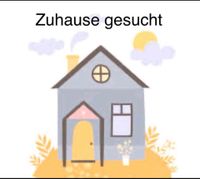 Suche Wohnung oder Haus zur Miete/Kauf Hessen - Witzenhausen Vorschau