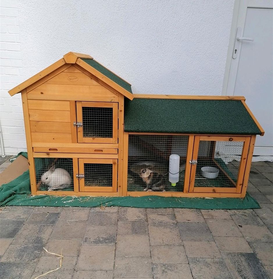 2 Kaninchen und eine Kleintierhaus wegen Platzmangel zu verkaufen in Rosdorf