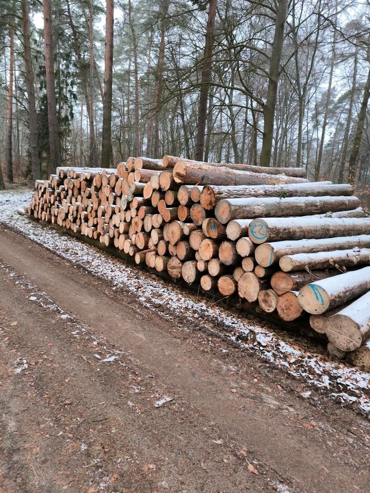 Stammholz Kiefer Lärche Nadelholz Brennholz Kaminholz in Emden (bei Haldensleben)